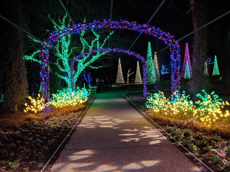 The Holiday Lights That Turn The Garden Into A Storybook