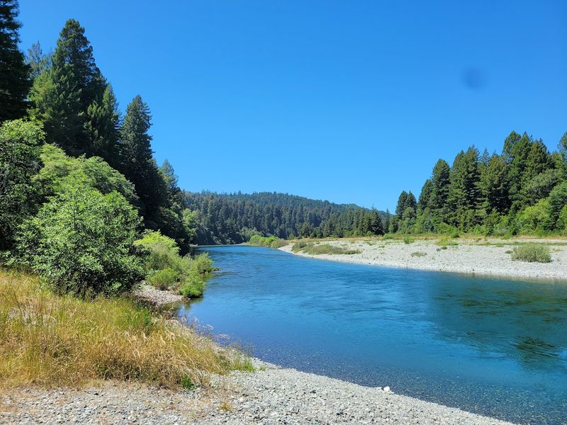 A Hidden Gem Among California's Redwood Forests