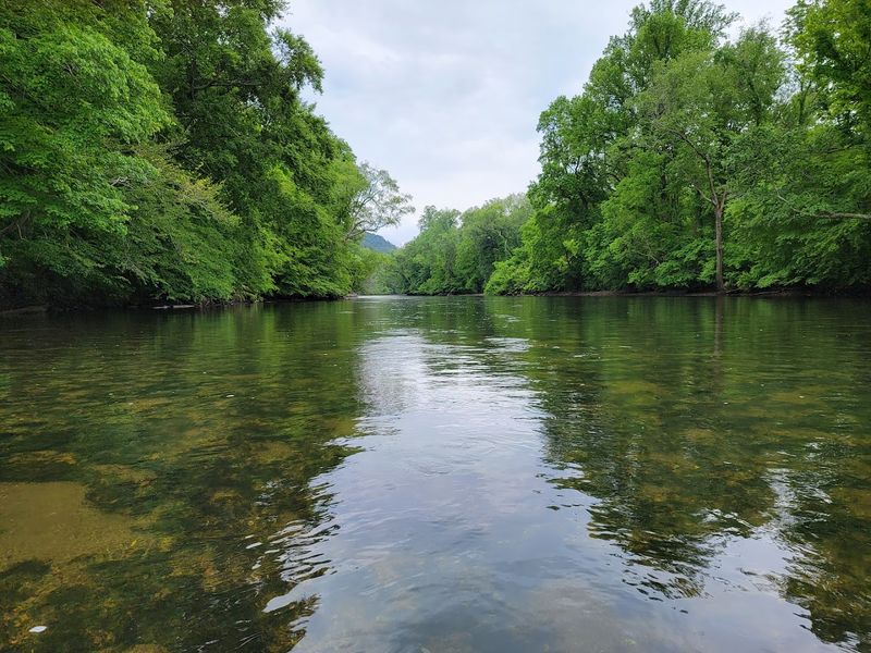 Kayaking And Canoeing Along A River Built For Paddlers