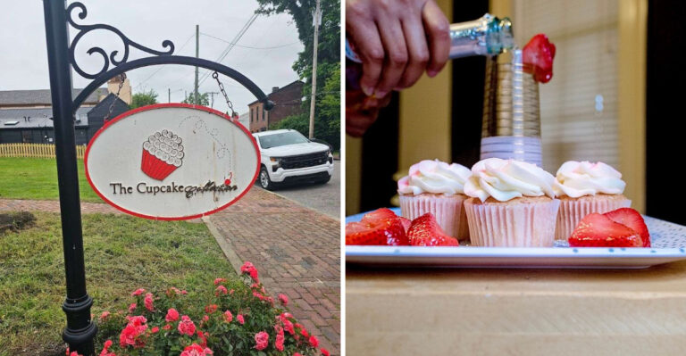 The Cupcakes At This Humble Bakeshop In Tennessee Are So Delicious, You’ll Dream About Them All Week