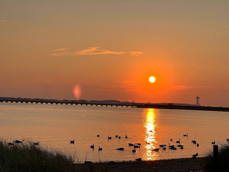 Best Times To Visit For The Most Rewarding Experience