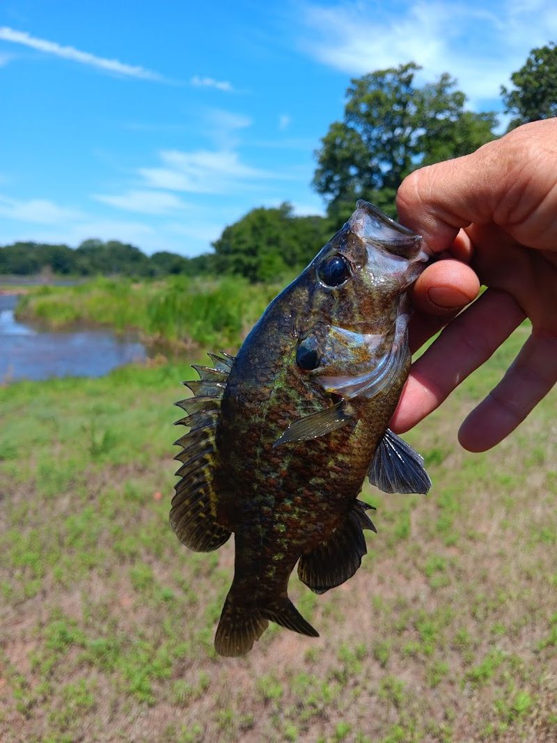 The Stocking Debate That Has Everyone Talking