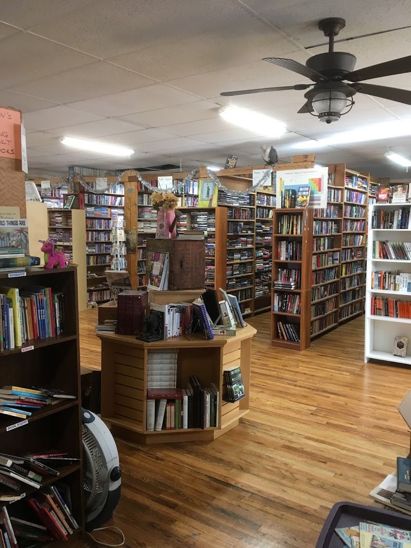 Velkyrie The Store Dog: The Best Staff Member On Four Legs