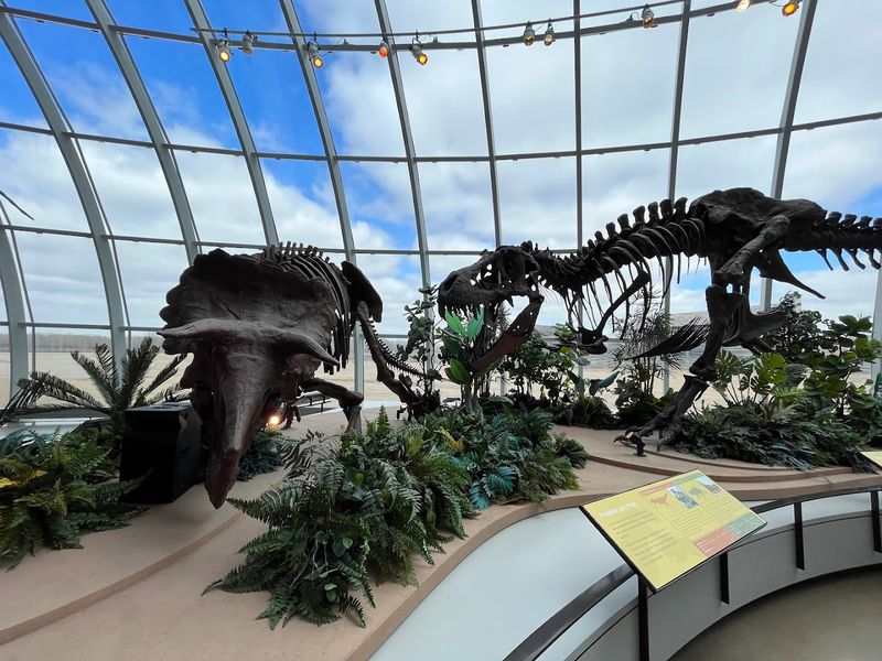 Dinosaur Bones And Fossils That Span Deep Time