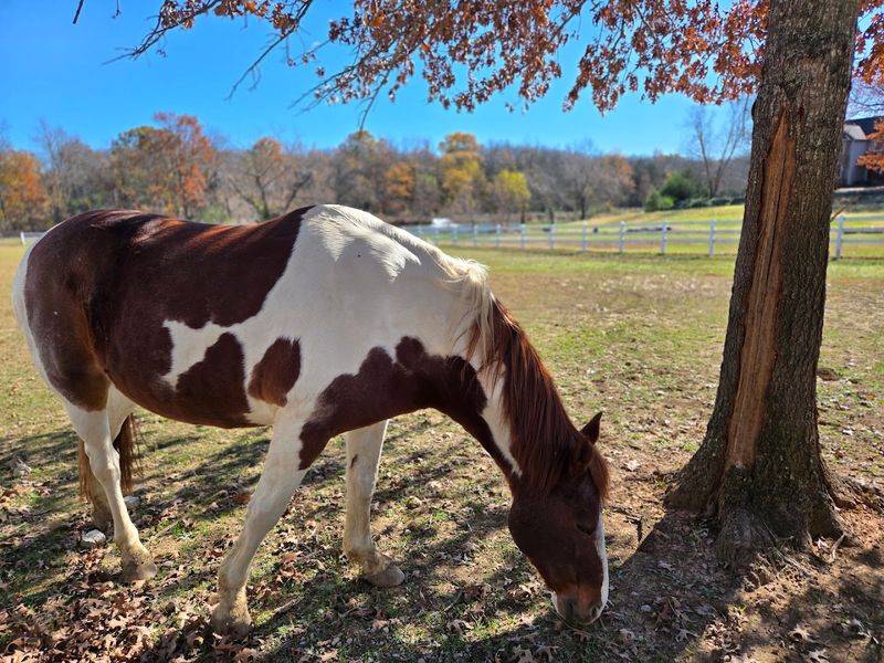 Private Sessions And Special Booking Options Available