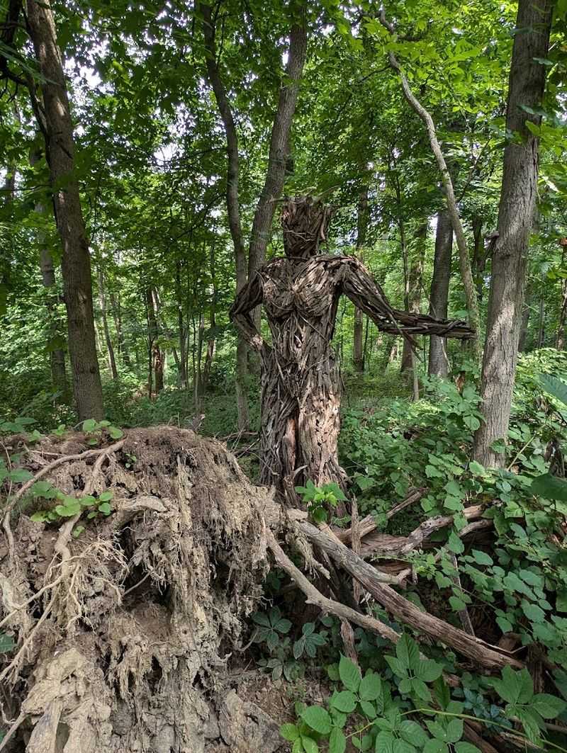 The Wisdom Trail And What Happens When Art Meets Forest