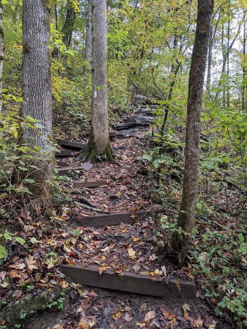 Trail Conditions And What To Realistically Expect