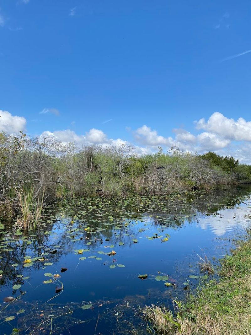 The Landscape Changes Subtly Along The Loop