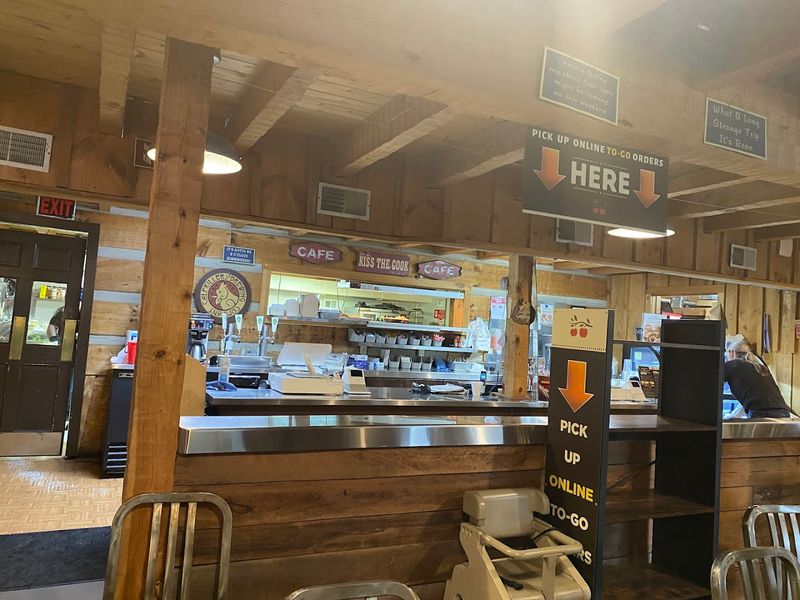 How Busy It Gets And When To Visit