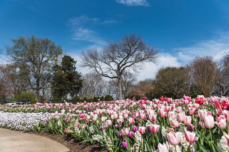 The Japanese Garden That Offers Quiet In A Busy World