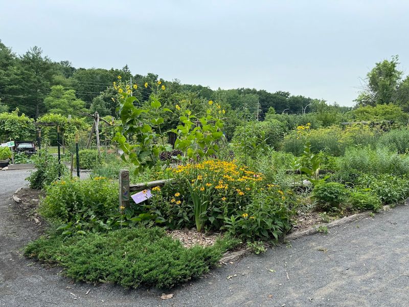 Fruit, Vegetables, And The Joy Of Watching Things Grow