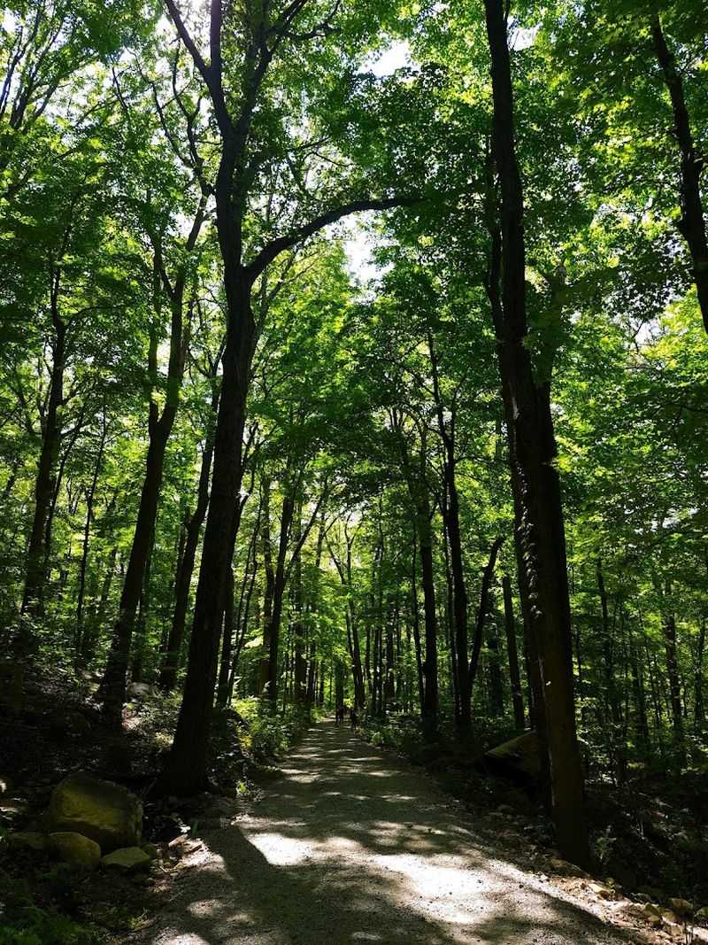 What The Trail Itself Actually Looks Like