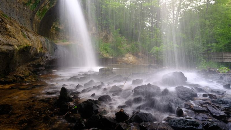 Wildlife And Birdsong Surround The Falls