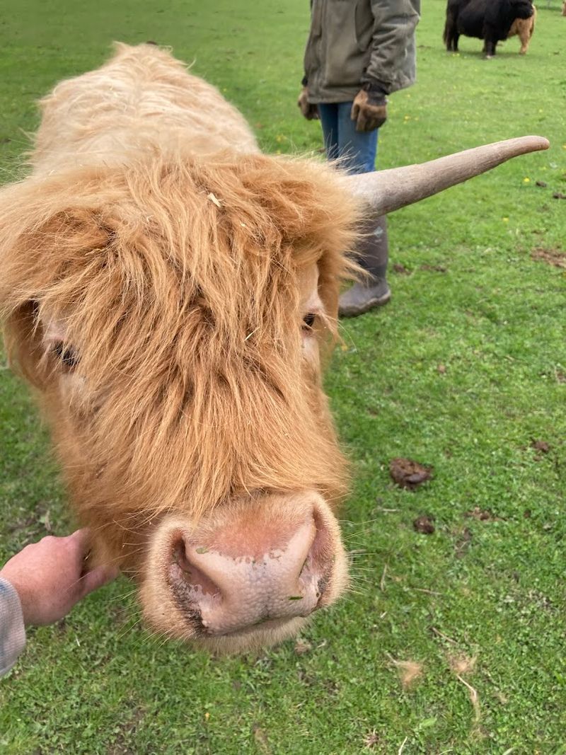 What The Two-Hour Private Tour Actually Looks Like From Start To Finish