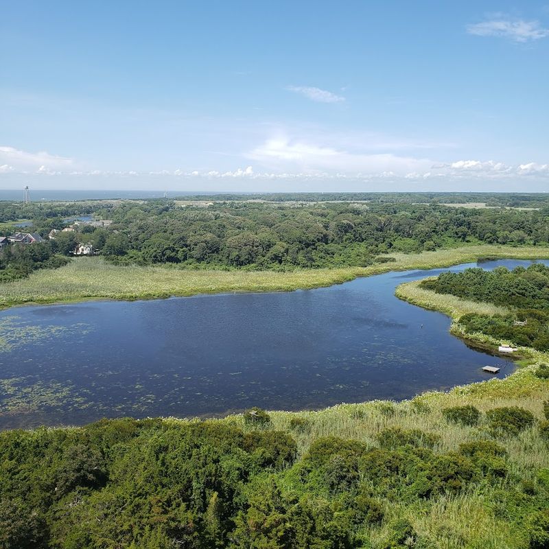 A Paradise For Birdwatchers And Nature Lovers