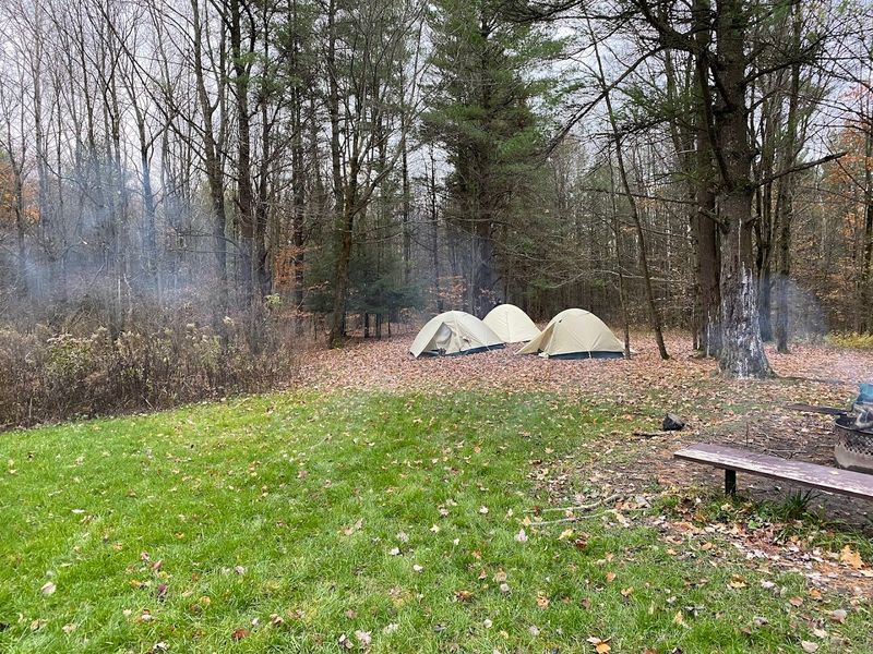 Camping Under Stars That Actually Show Up