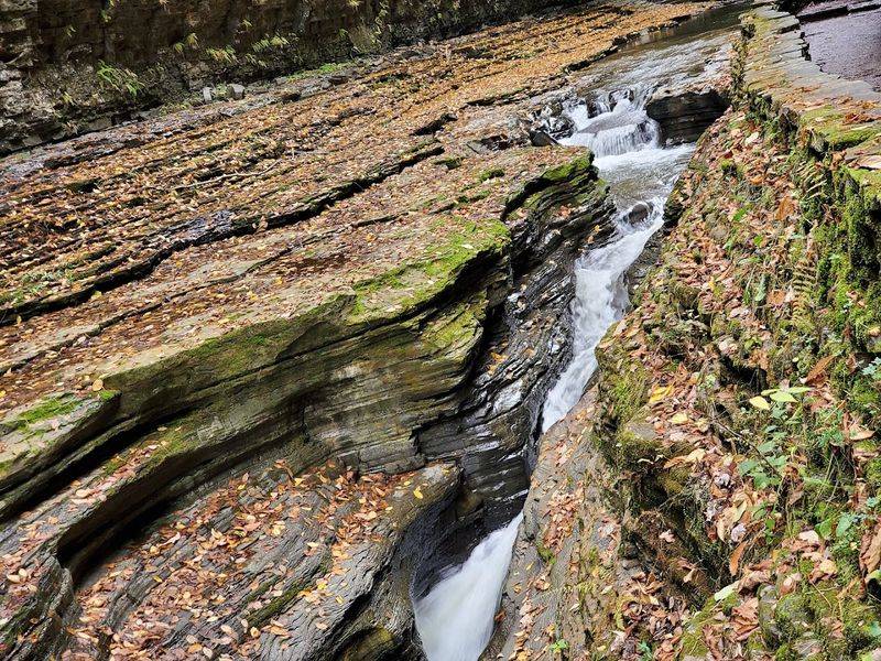 Timing Your Visit For The Best Possible Experience