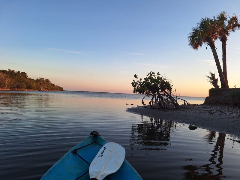 Tiny Marine Organisms Create The Lagoon's Famous Glow