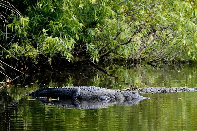 Dry Season Months Often Bring The Best Wildlife Viewing