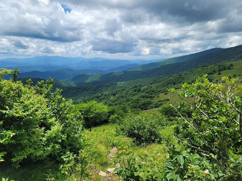 Roan Mountain State Park, Roan Mountain