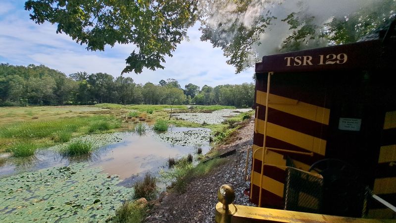 Hop Aboard The Texas State Railroad For A Scenic Ride