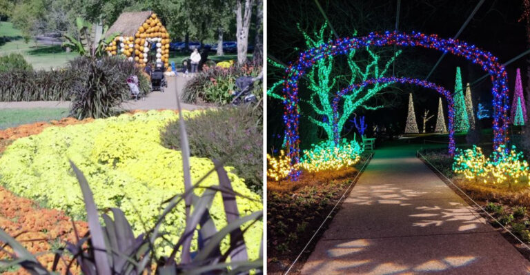 The Magical Garden In Tennessee That Belongs In Alice In Wonderland
