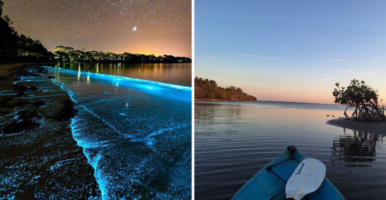 The Magical Glowing Waters Of Florida’s Indian River Lagoon Are Worth Seeing