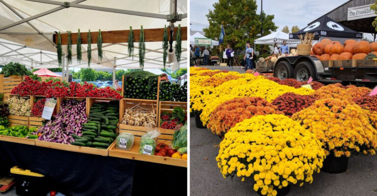 The Massive Farmers Market In Tennessee That’s Too Good To Pass Up In 2026