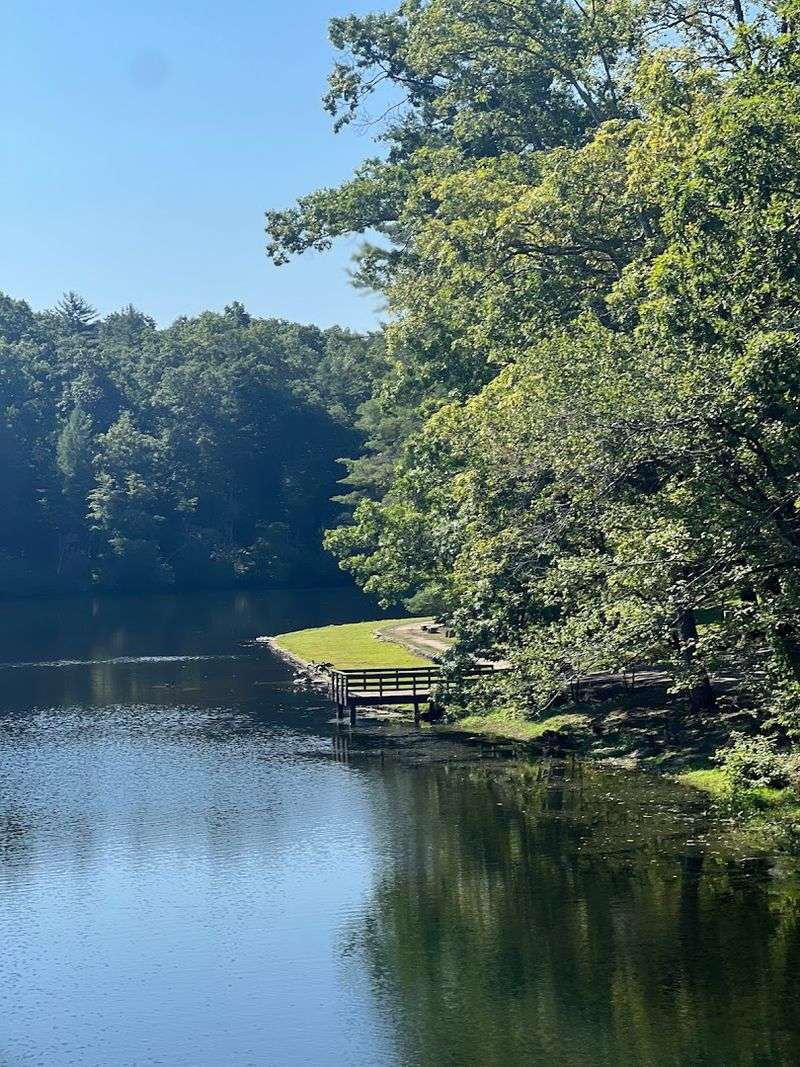 The Outdoor Pool And Recreational Amenities Keep Everyone Busy