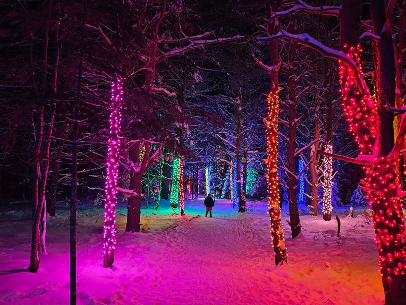 Wild Lights And Seasonal Events That Transform The Grounds