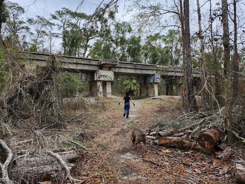 Ellaville's Quiet: Why This Ghost Town Is Undiscovered