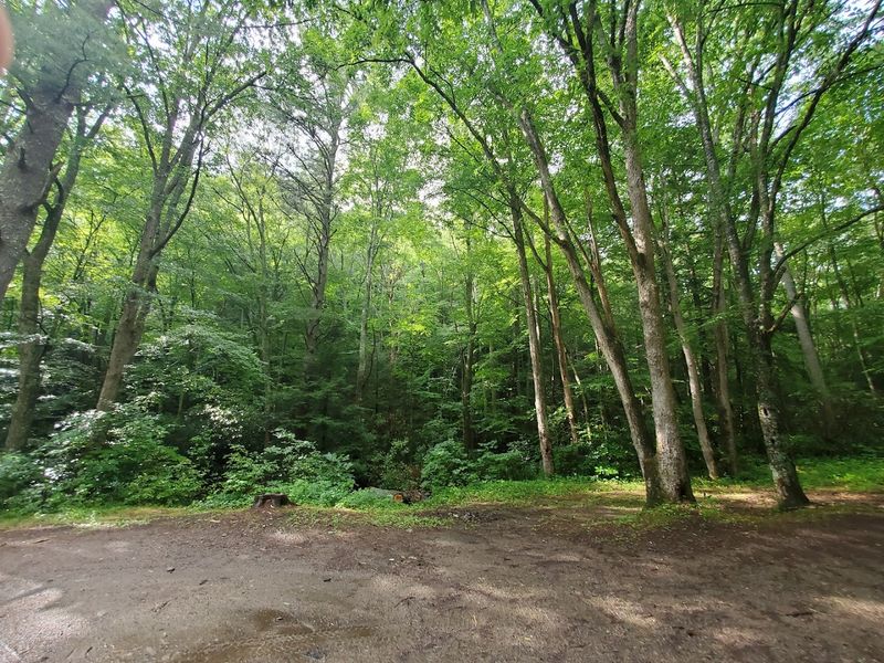 Backbone Rock Recreation Area Just Down The Road
