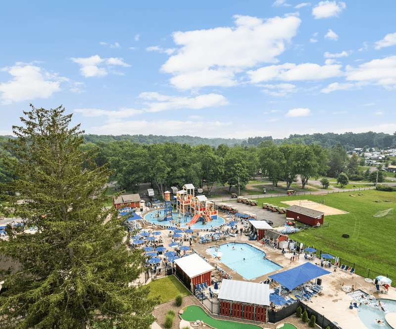 Staff Friendliness That Guests Keep Bringing Up Completely Unprompted