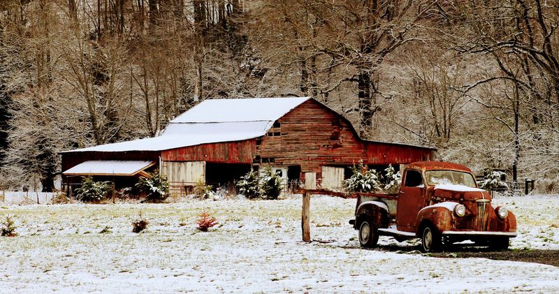 Rusted Rides, Empty Saloon Doors, And Photo Ops