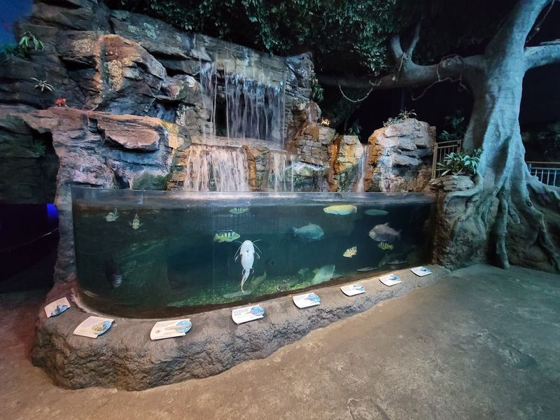 The Glass-Bottom Boat Ride