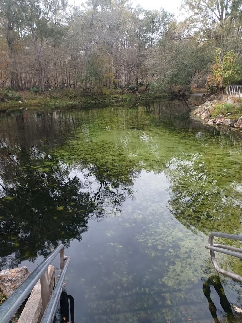 What Makes Poe Springs Water So Clear And Refreshing