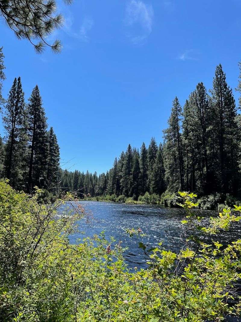 A Scenic River Flowing Through Deschutes National Forest