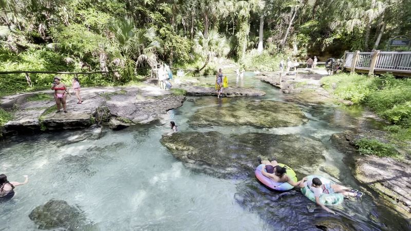 Why Families Love Spending A Full Day At Kelly Park