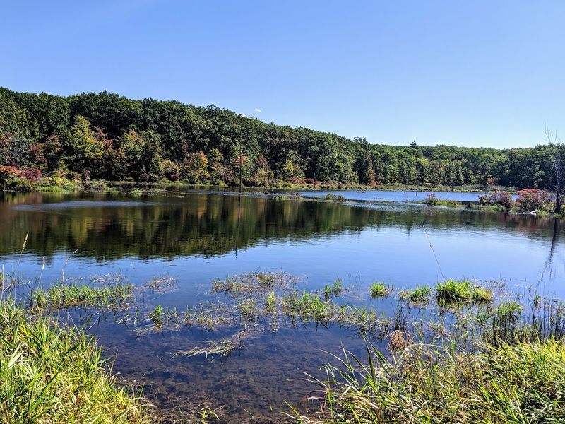 New York's Best Kept Secret That Will Make You Question Every Vacation You've Ever Taken