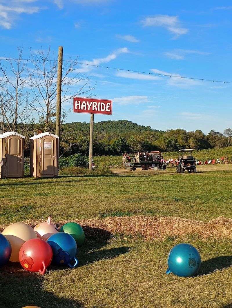 Jungle Gyms, Inflatables, And Play Structures For Every Age Group