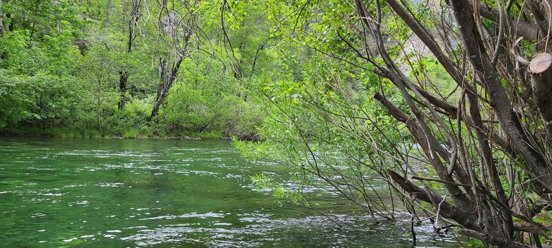 Why The Smith River Should Be On Every Nature Lover's Bucket List