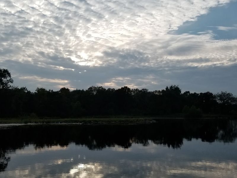 Vegetation Overload And The Battle For Access