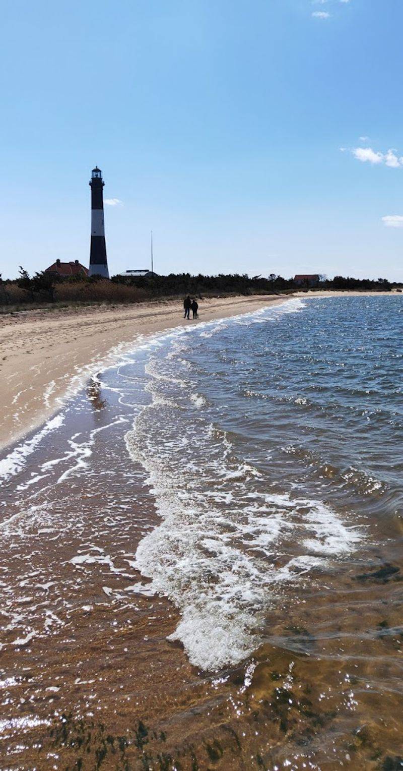 Robert Moses State Park And The One Corner Of The Island Cars Can Reach