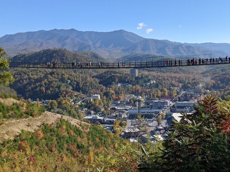 North America's Longest Pedestrian Cable Bridge