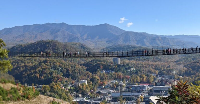 The Thrilling Bridge In Tennessee With Unrivaled Views Of The State