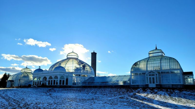 Buffalo And Erie County Botanical Gardens: The Full Story