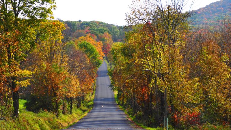 The Kind Of Quiet That Actually Heals You