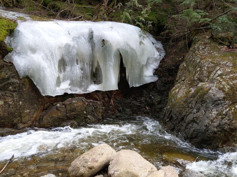 What Makes The View From The Bottom So Striking