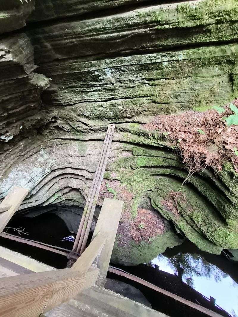 A Cool Microclimate Inside The Canyon