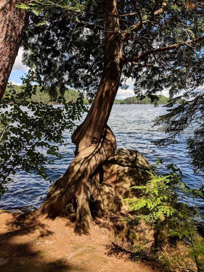 Northwoods Scenery Makes The Trail Feel Like A Hidden Escape
